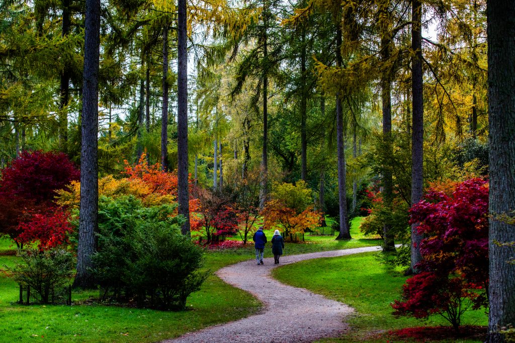 Westonbirt: The National Arboretum, Tetbury - Photographed by Johnny Hathaway